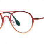 Theo Century van Theo bij Maison Lunettes